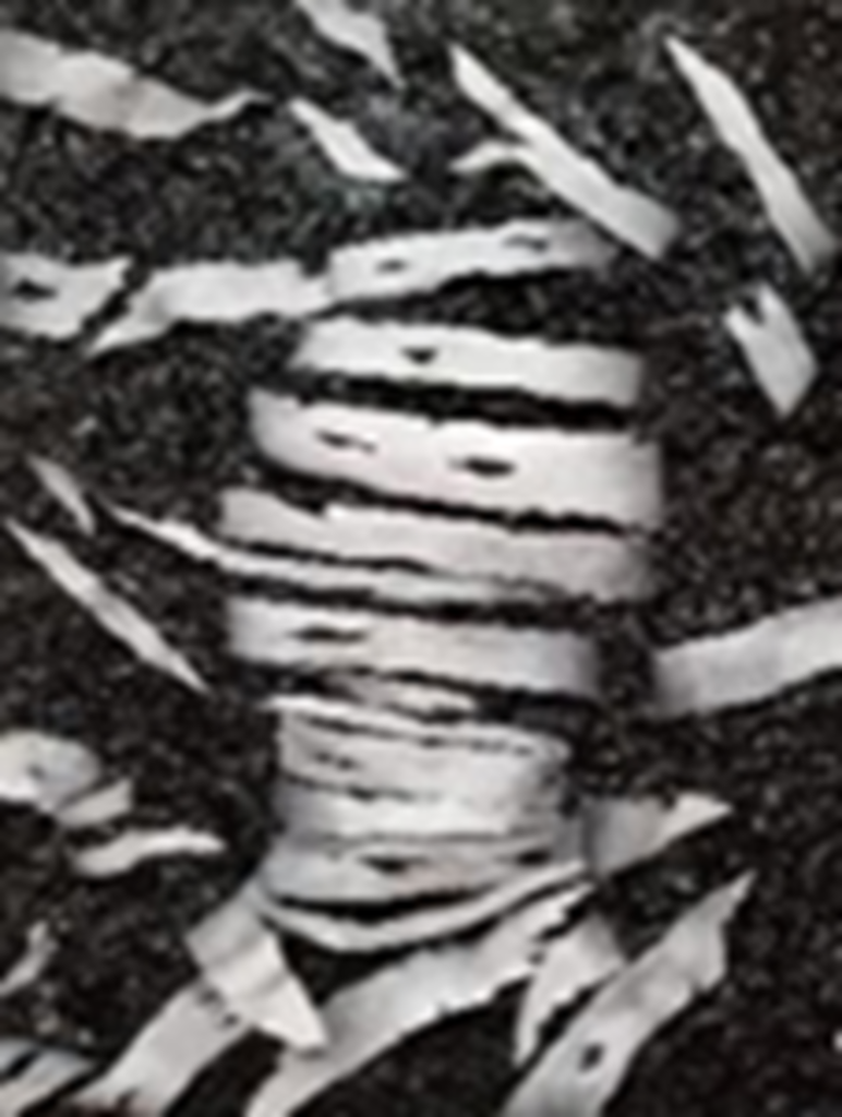 type a caption (optional)