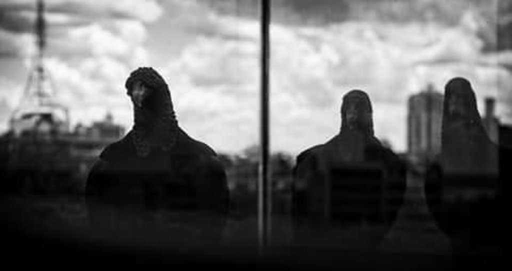 Write caption for image (optional)