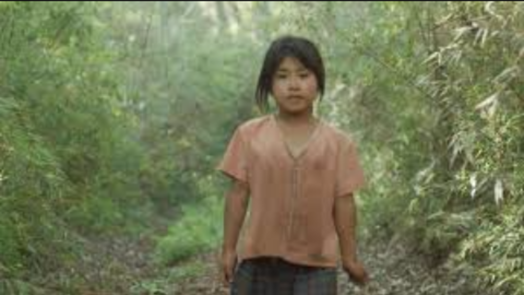 Write caption for image (optional)