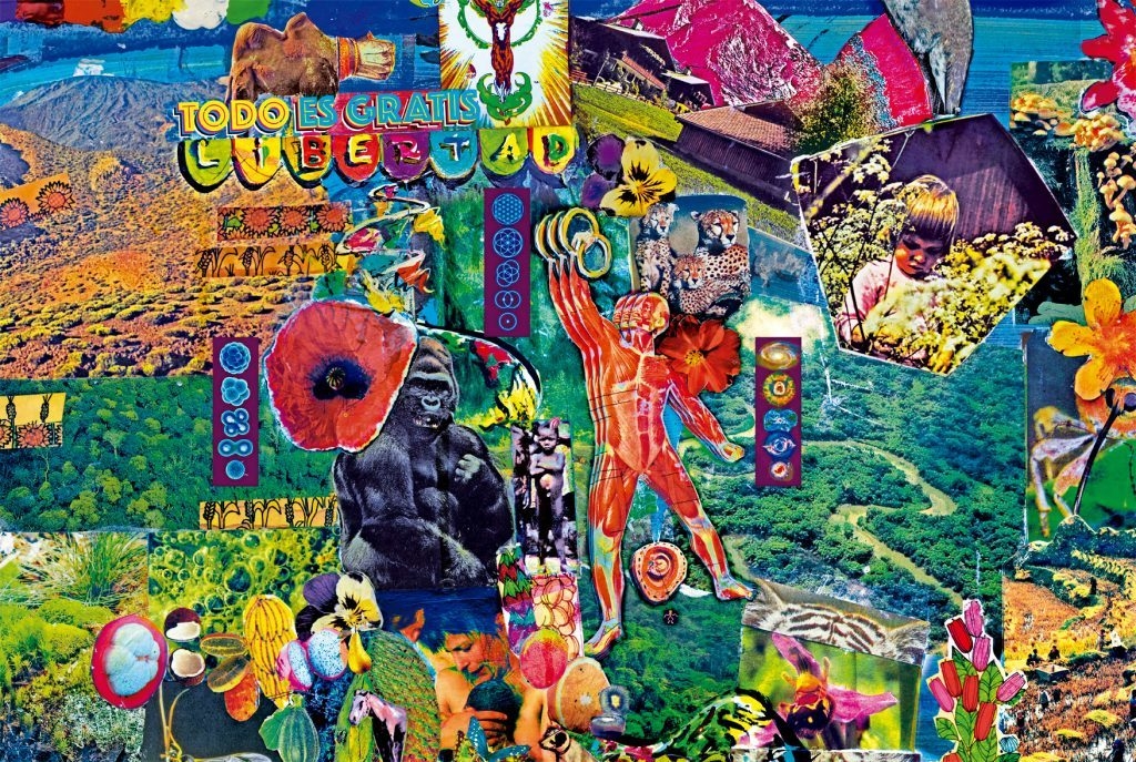 Write caption for image (optional)