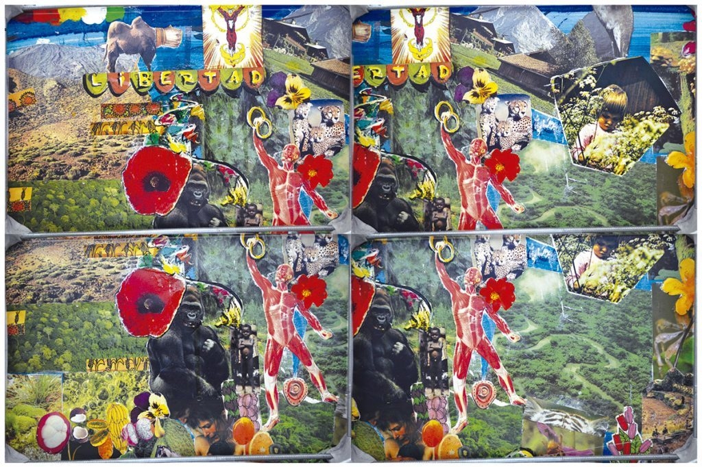 Write caption for image (optional)